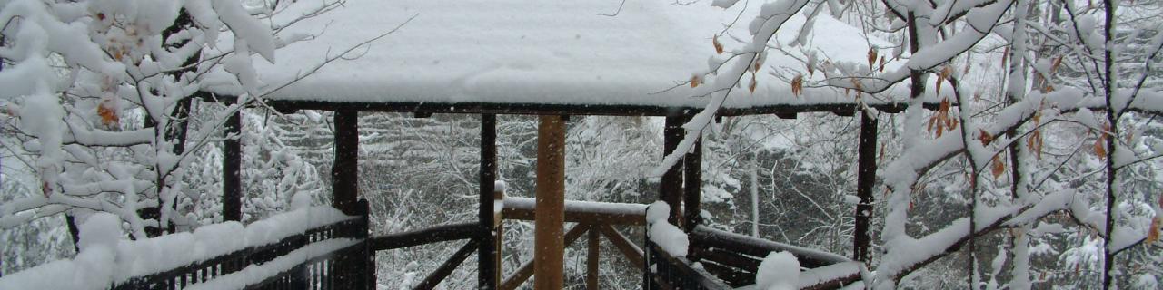 The gazebo in winter